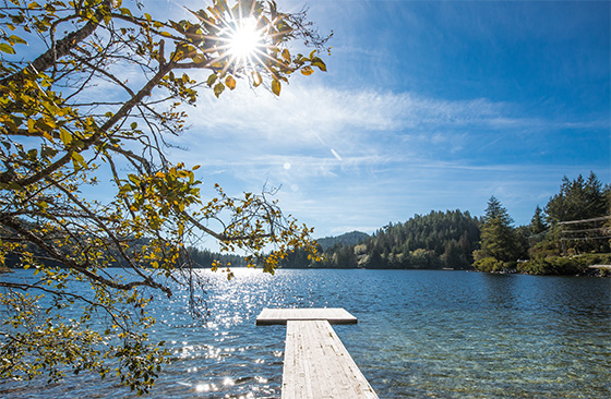 sunshine-coast-bc-real-estate sunshine-coast-bc-real-estate